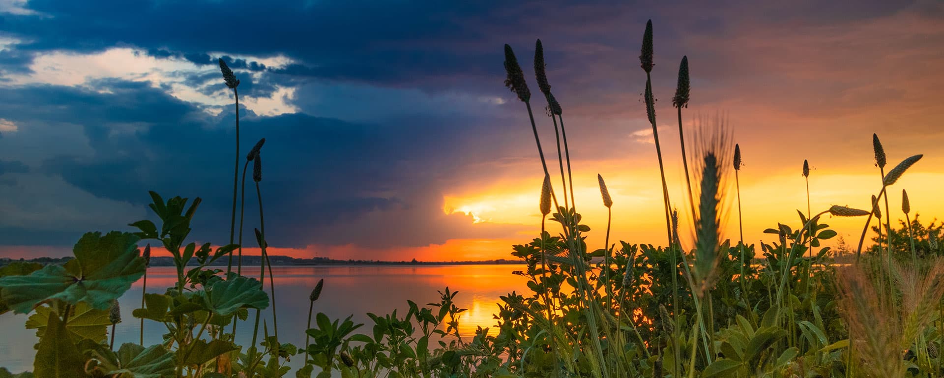 apartamente cu vedere la lac